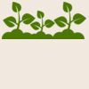 Organic cotton shopper Thumbnail
