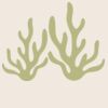 Organic cotton shopper Thumbnail