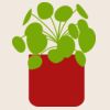 Organic cotton shopper Thumbnail