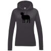 Women's College Hoodie Thumbnail