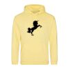 AWDis College Hoodie Thumbnail