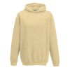 AWDis Kids Hoodie Thumbnail